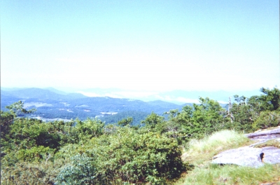 The View From Scaly Mountain, June 22, 1998
