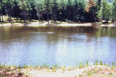 A Mountain Pond, June 22, 1998