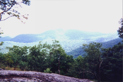 The View From Whiterock Mountain, June 22, 1998