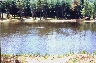A Mountain Pond, June 22, 1998