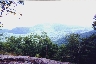 A View From Whiterock Mountain, June 22, 1998
